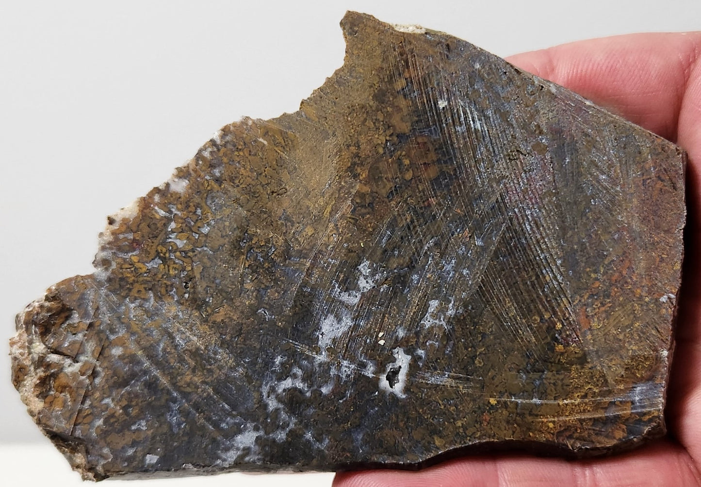 Bloody Basin Plume Agate Slab (End Piece)