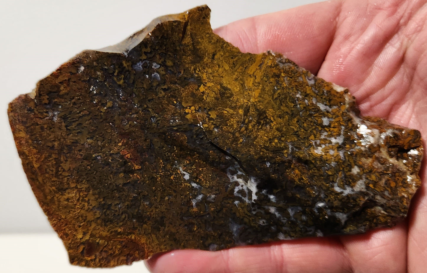 Bloody Basin Plume Agate Slab (End Piece)