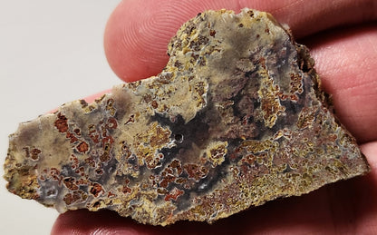 Bloody Basin Plume Agate Slab (End Piece)