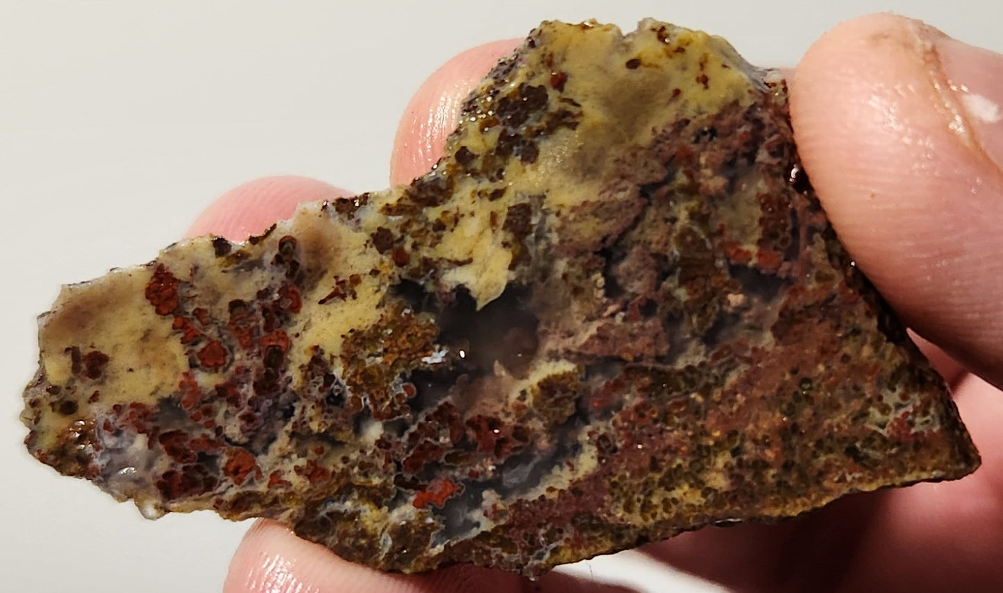 Bloody Basin Plume Agate Slab (End Piece)