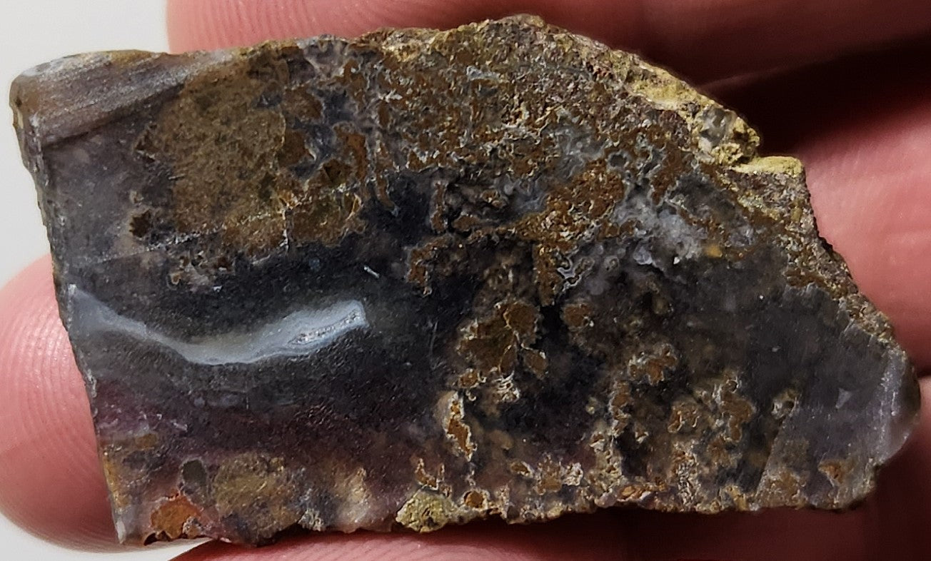 Bloody Basin Plume Agate Slab (End Piece)