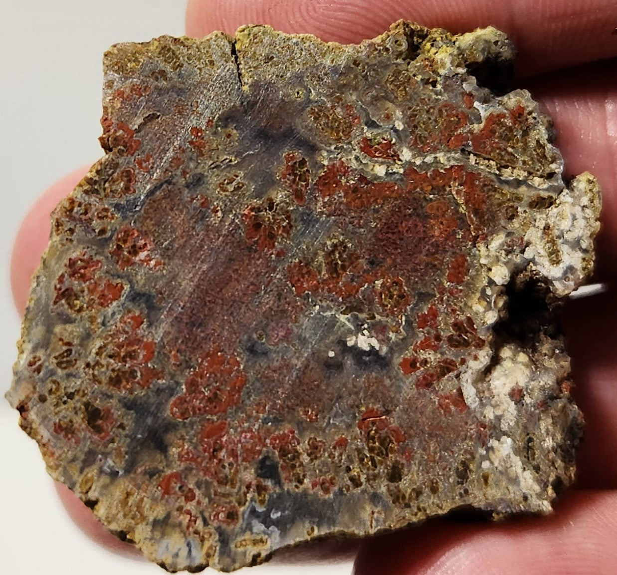 Bloody Basin Plume Agate Slab (End Piece)