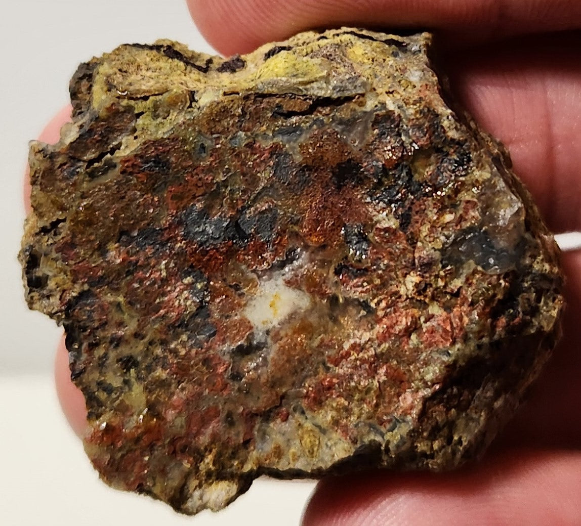 Bloody Basin Plume Agate Slab (End Piece)