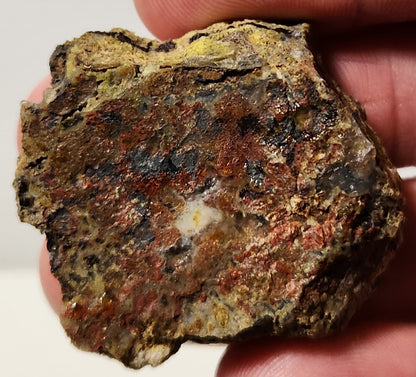 Bloody Basin Plume Agate Slab (End Piece)
