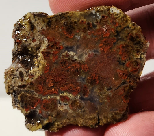 Bloody Basin Plume Agate Slab (End Piece)