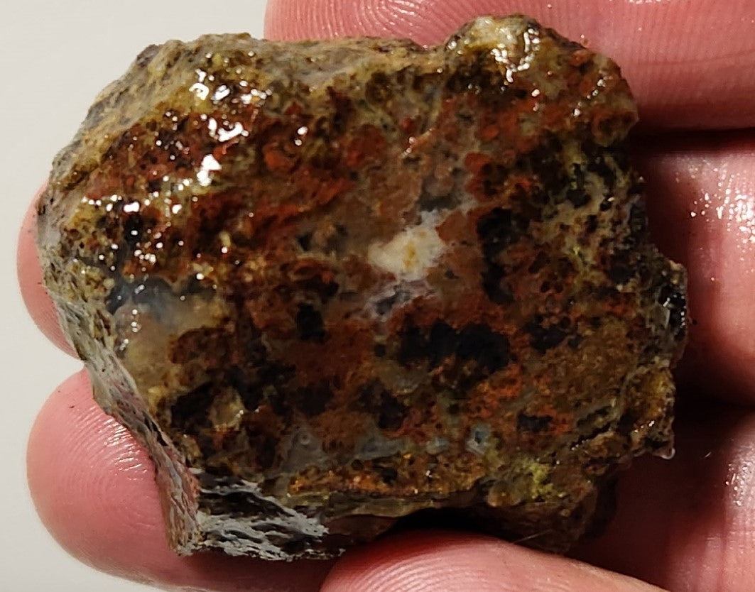 Bloody Basin Plume Agate Slab (End Piece)