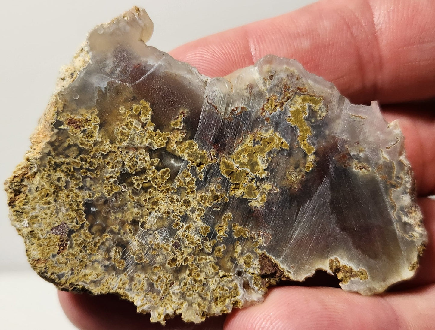 Bloody Basin Plume Agate Slab (End Piece)