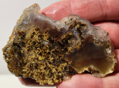 Bloody Basin Plume Agate Slab (End Piece)