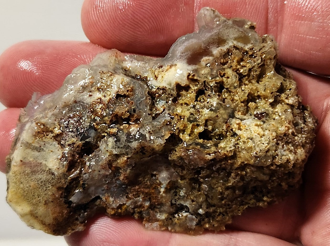 Bloody Basin Plume Agate Slab (End Piece)