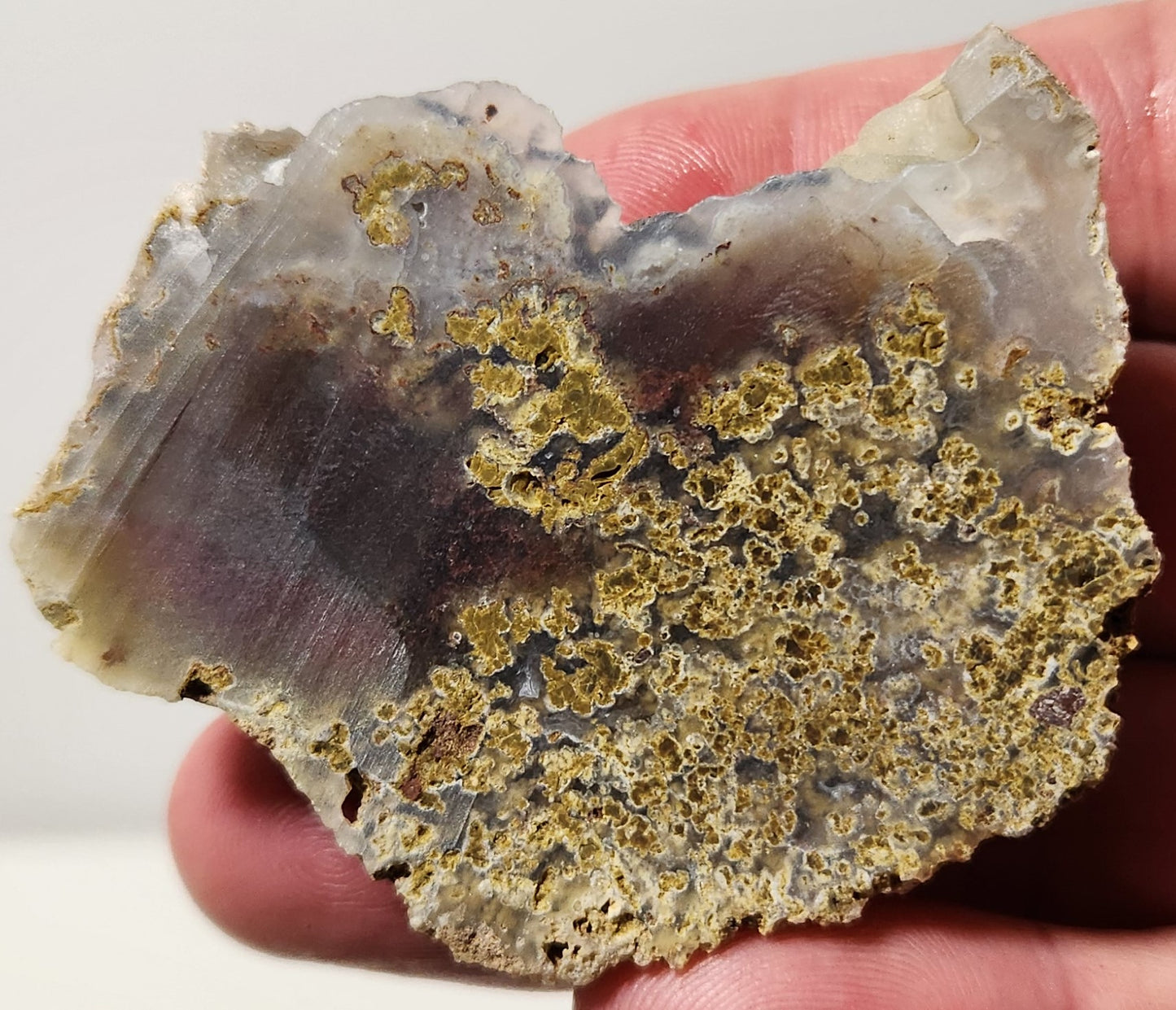 Bloody Basin Plume Agate Slab (End Piece)