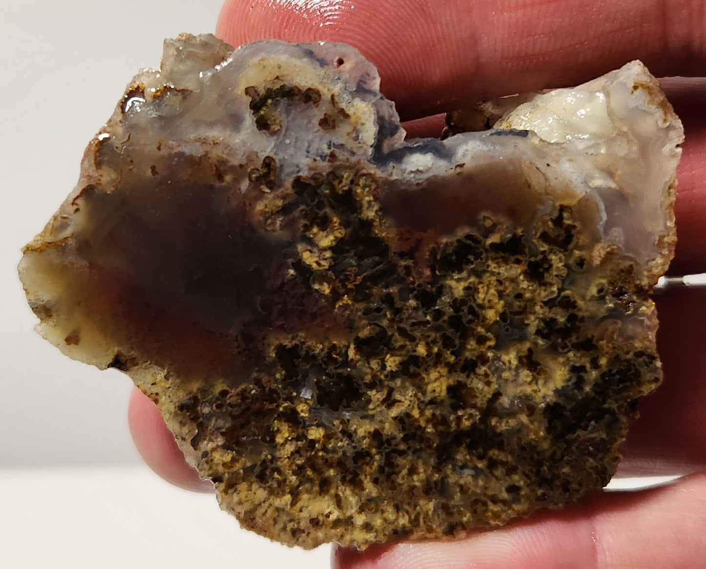 Bloody Basin Plume Agate Slab (End Piece)