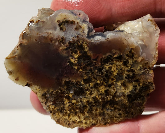 Bloody Basin Plume Agate Slab (End Piece)