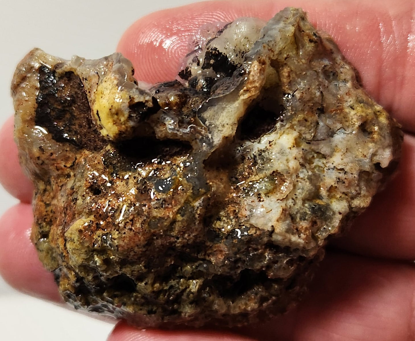 Bloody Basin Plume Agate Slab (End Piece)