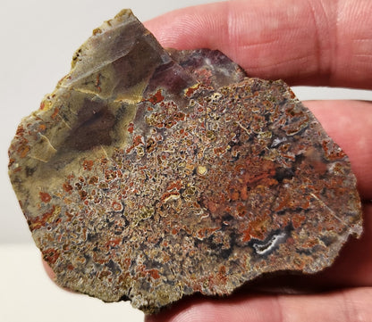 Bloody Basin Plume Agate Slab (End Piece)