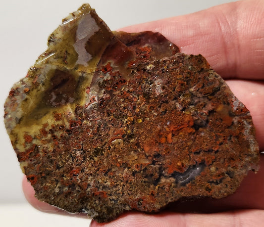 Bloody Basin Plume Agate Slab (End Piece)