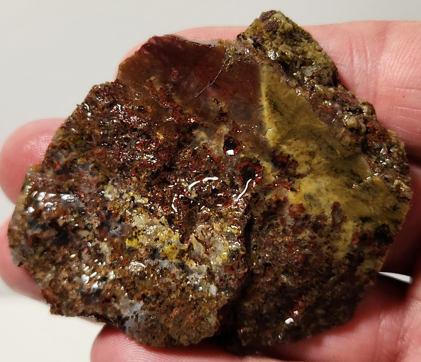 Bloody Basin Plume Agate Slab (End Piece)