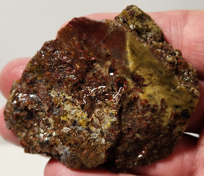 Bloody Basin Plume Agate Slab (End Piece)