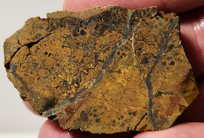 Bloody Basin Plume Agate Slab (End Piece)