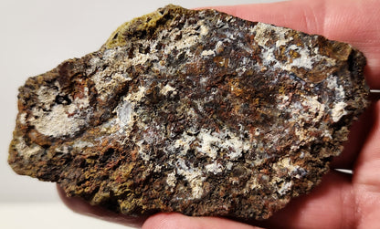 Bloody Basin Plume Agate Slab (End Piece)