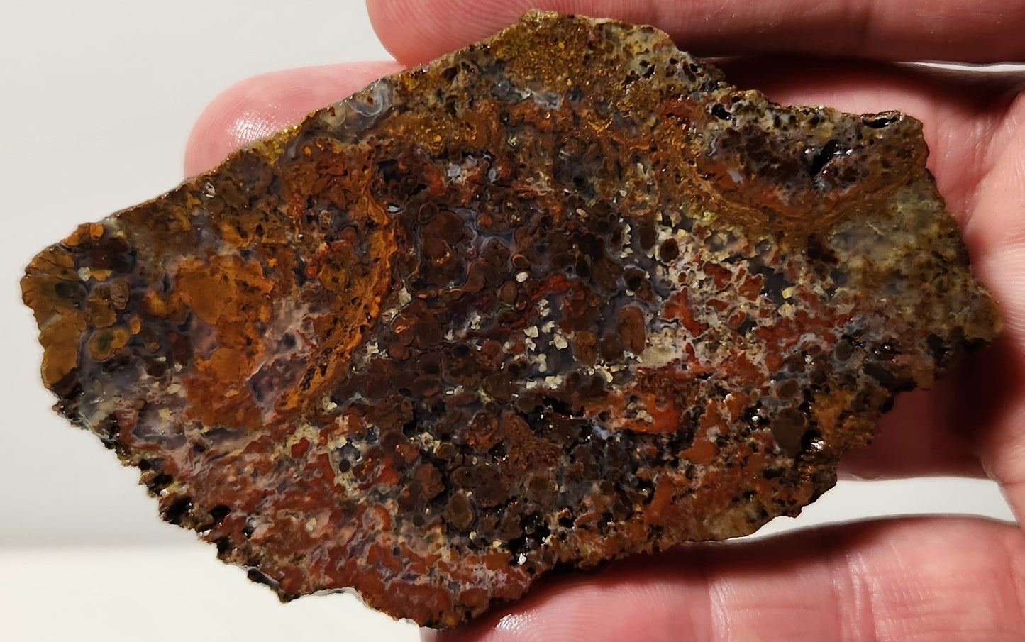 Bloody Basin Plume Agate Slab (End Piece)
