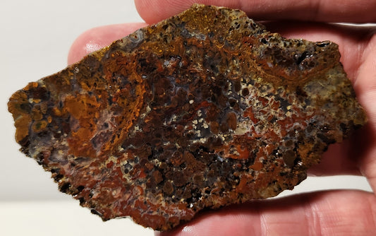 Bloody Basin Plume Agate Slab (End Piece)