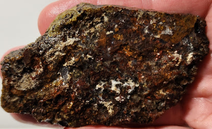 Bloody Basin Plume Agate Slab (End Piece)