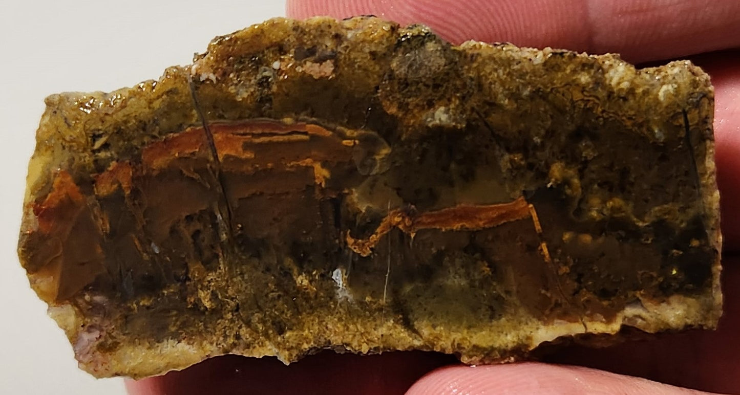 Bloody Basin Plume Agate Slab (End Piece)