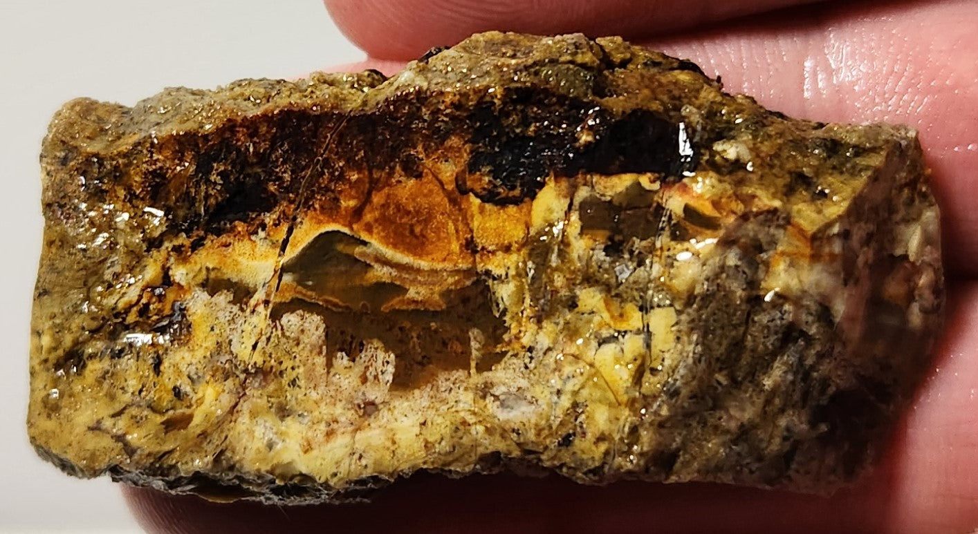 Bloody Basin Plume Agate Slab (End Piece)