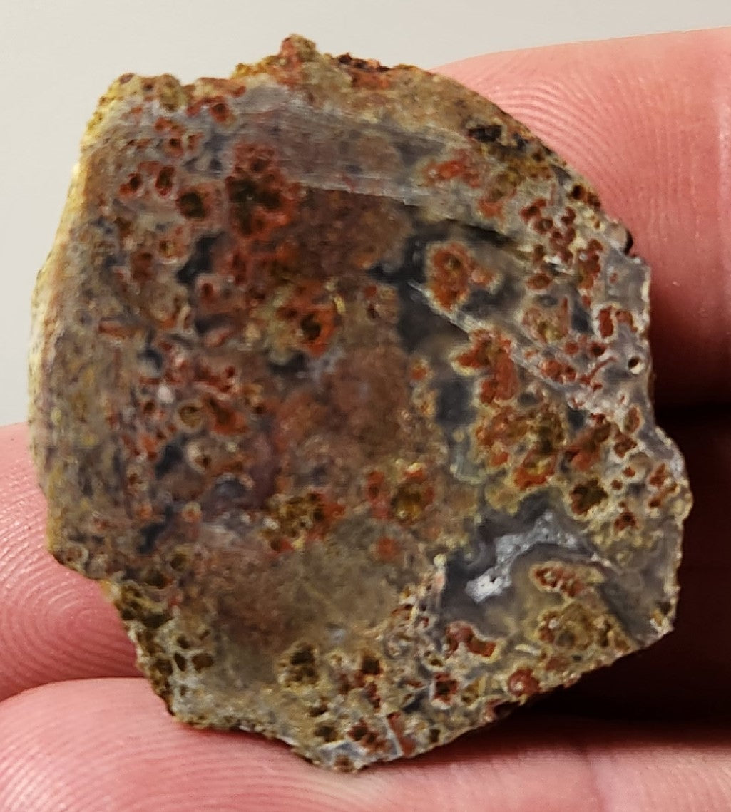 Bloody Basin Plume Agate Slab (End Piece)