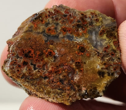 Bloody Basin Plume Agate Slab (End Piece)