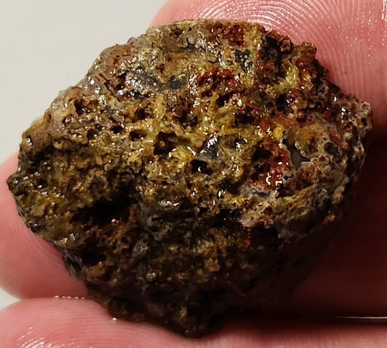 Bloody Basin Plume Agate Slab (End Piece)