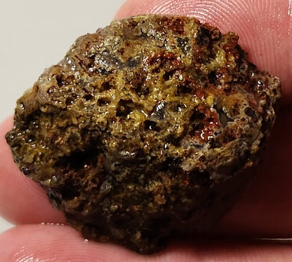 Bloody Basin Plume Agate Slab (End Piece)