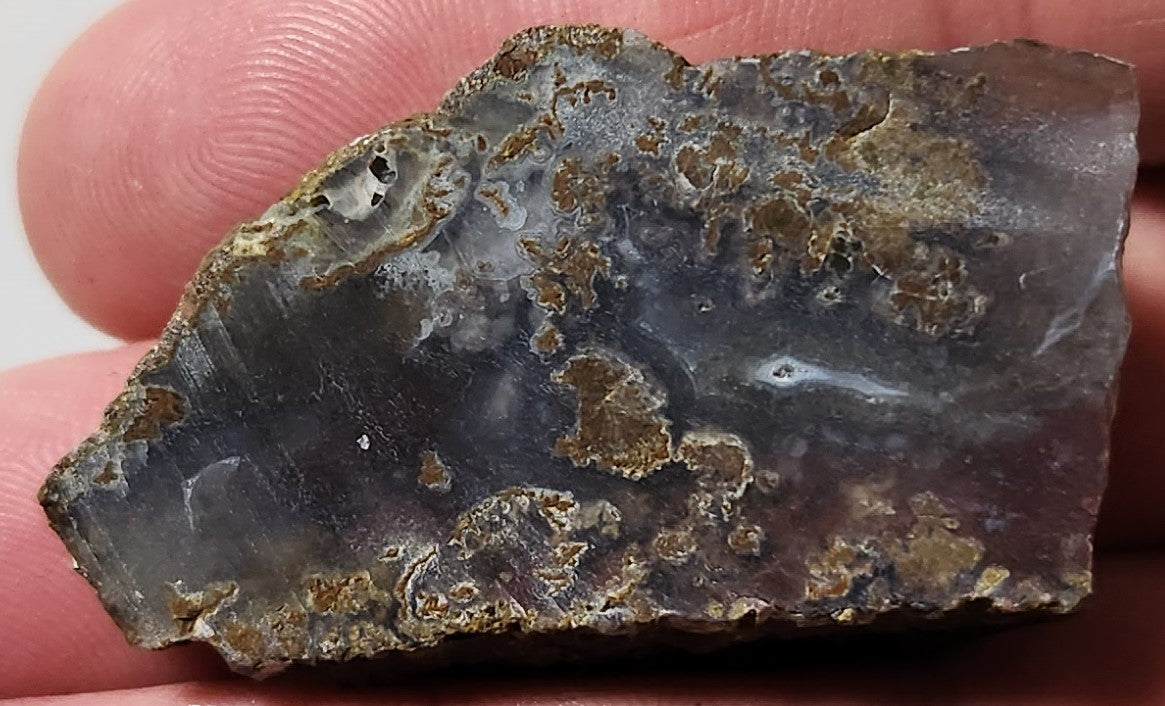 Bloody Basin Plume Agate Slab (End Piece)