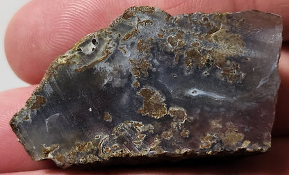 Bloody Basin Plume Agate Slab (End Piece)