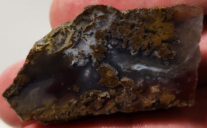 Bloody Basin Plume Agate Slab (End Piece)