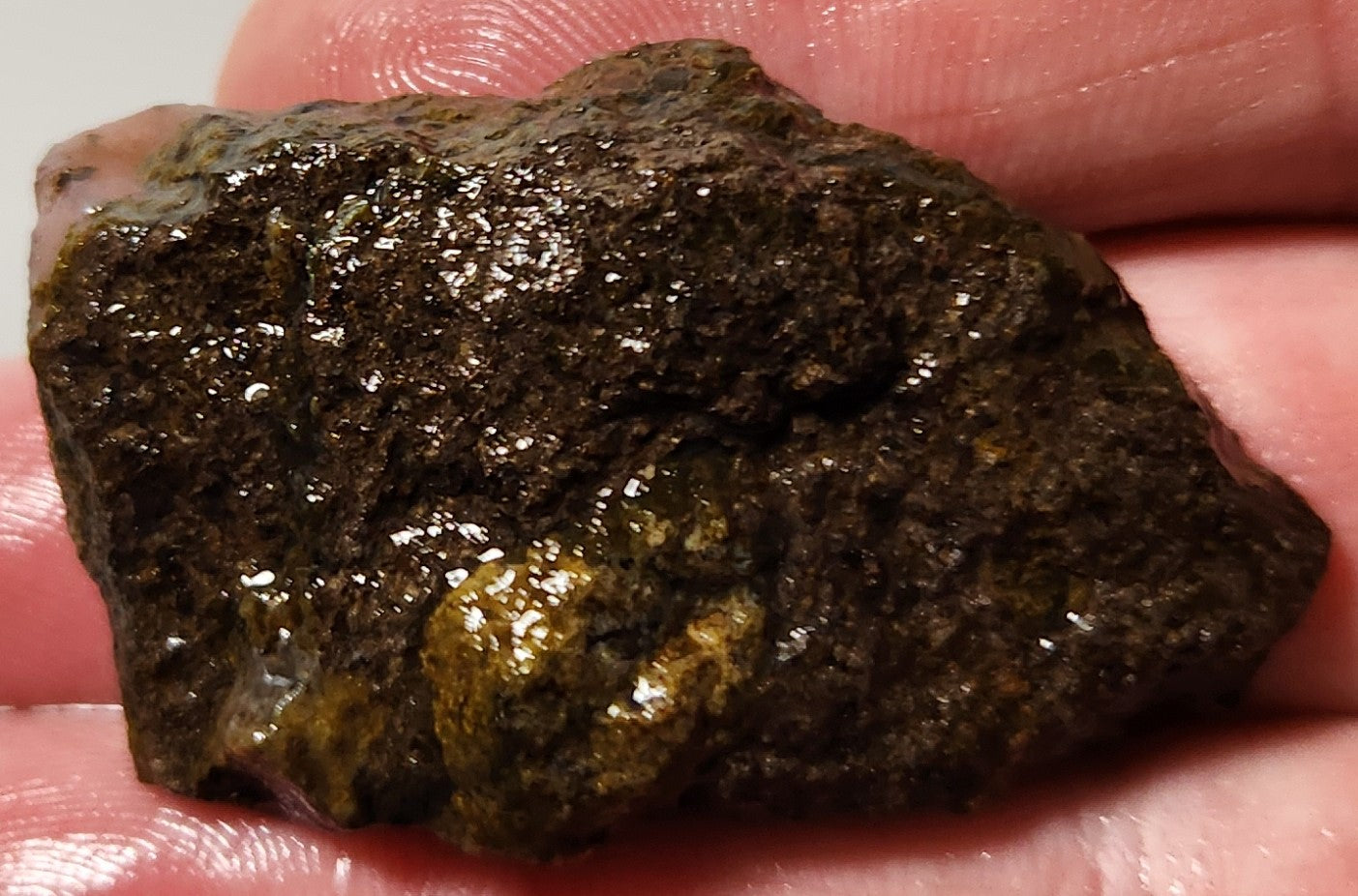 Bloody Basin Plume Agate Slab (End Piece)