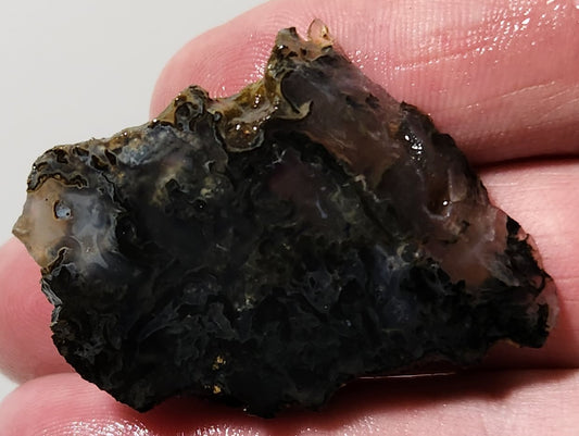 Bloody Basin Plume Agate Slab (End Piece)