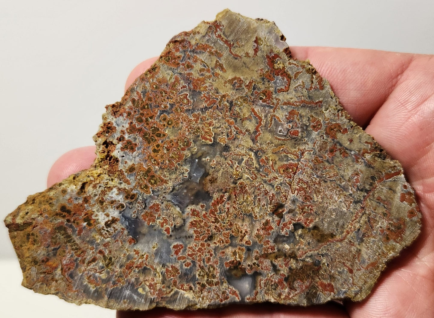 Bloody Basin Plume Agate Slab