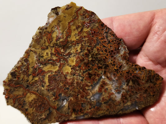 Bloody Basin Plume Agate Slab