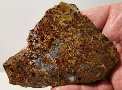 Bloody Basin Plume Agate Slab