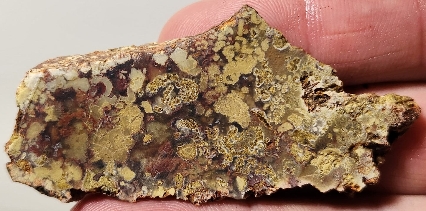 Bloody Basin Plume Agate Slab