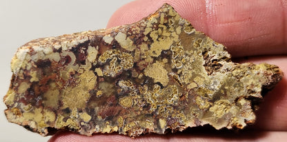 Bloody Basin Plume Agate Slab