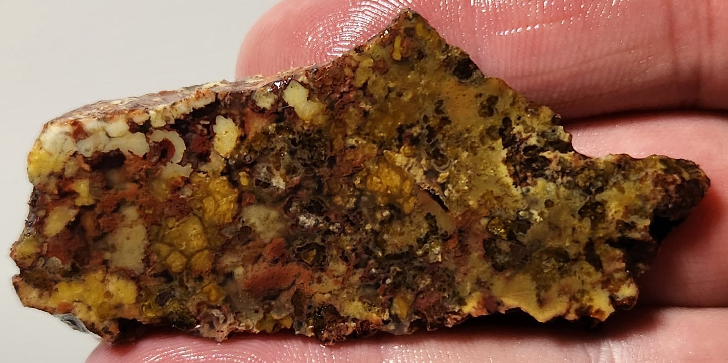 Bloody Basin Plume Agate Slab