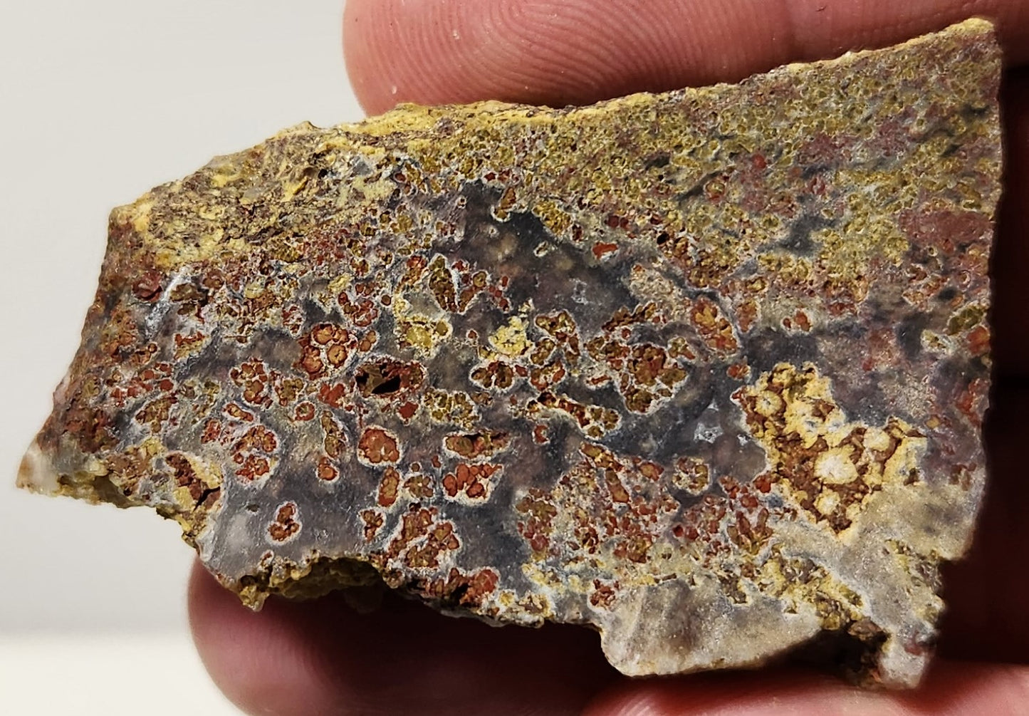 Bloody Basin Plume Agate Slab