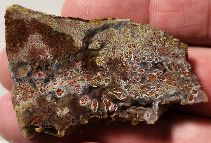 Bloody Basin Plume Agate Slab