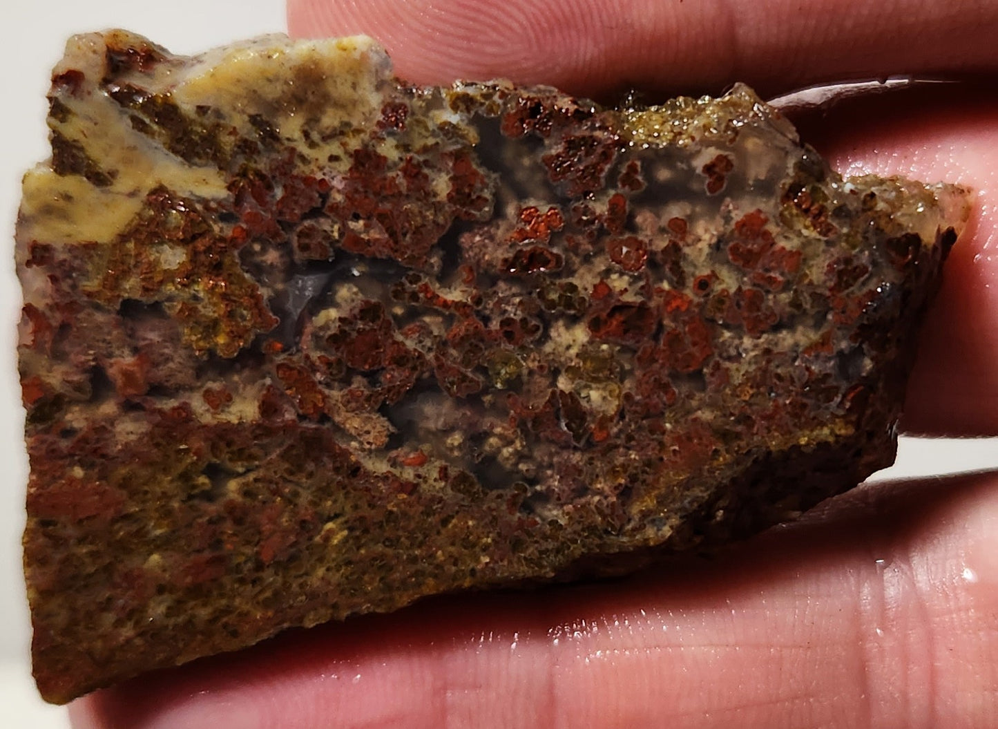 Bloody Basin Plume Agate Slab