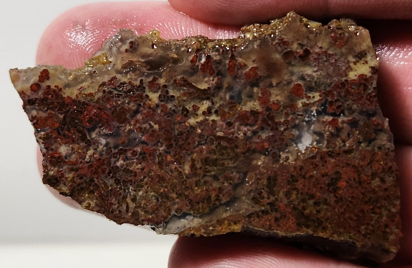 Bloody Basin Plume Agate Slab