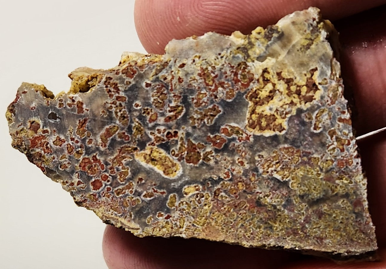 Bloody Basin Plume Agate Slab