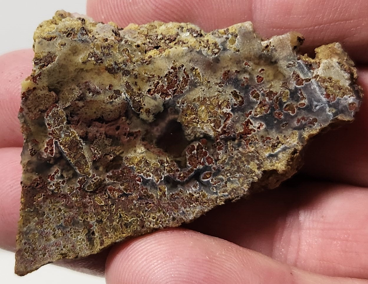 Bloody Basin Plume Agate Slab