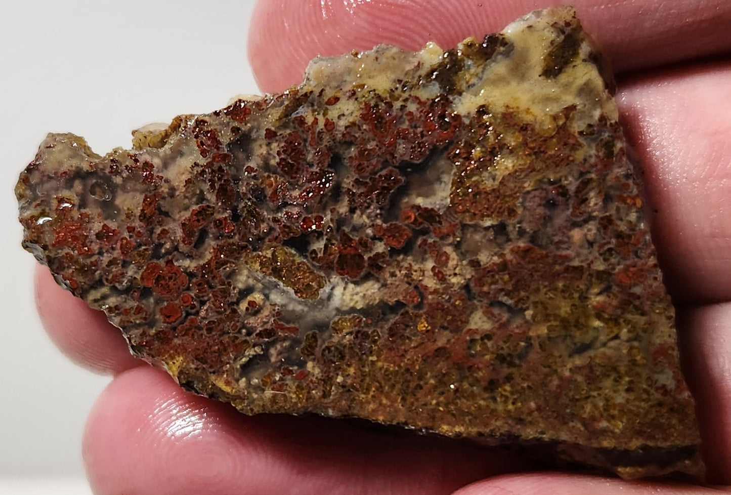 Bloody Basin Plume Agate Slab